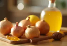 cibule s medem zdravé recepty – Zdravé recepty s cibulí a medem pro vaše zdraví