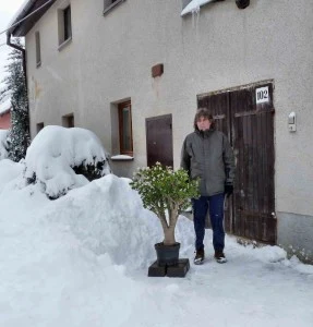 Muž stojí vedle květináče v zimě