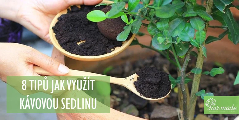 Kávová sedlina pro zahradu – tipy na využití