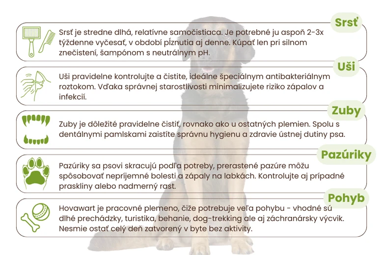 Starostlivost o Hovawarta: srst, uši, zuby, pazuřky, pohyb