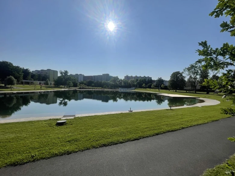 Pond in park Lhotka, biotop pro životní prostředí
