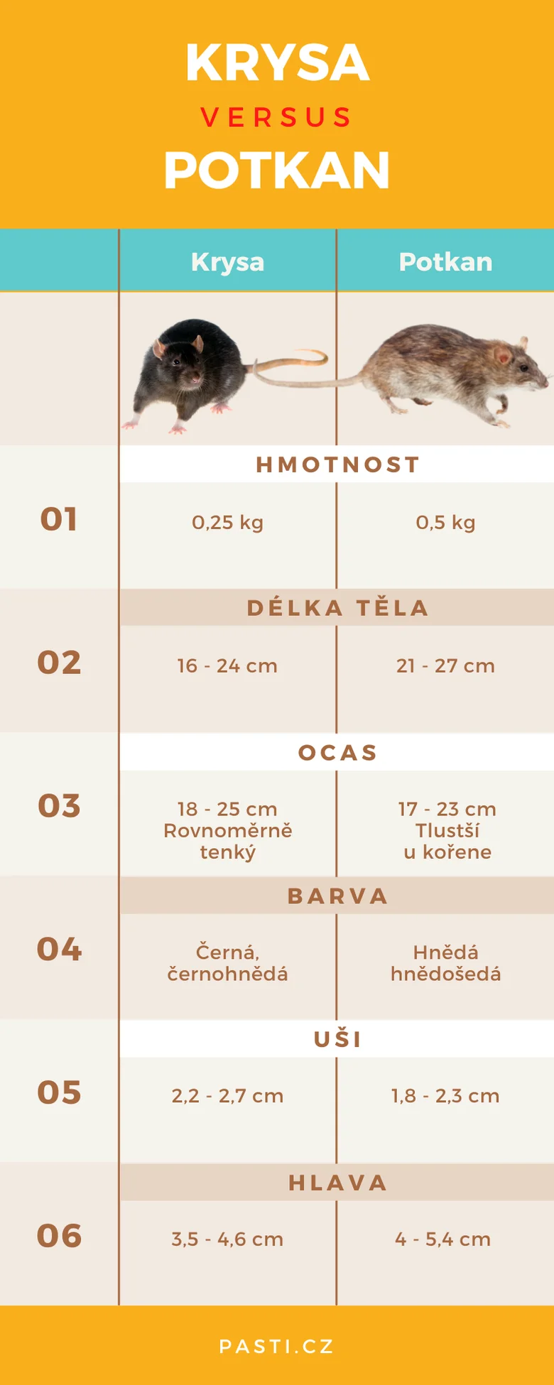 Porovnání krysy a potkana podle vlastností