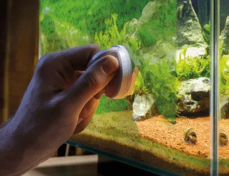Ruka drží filtr v akváriu pro axolotla
