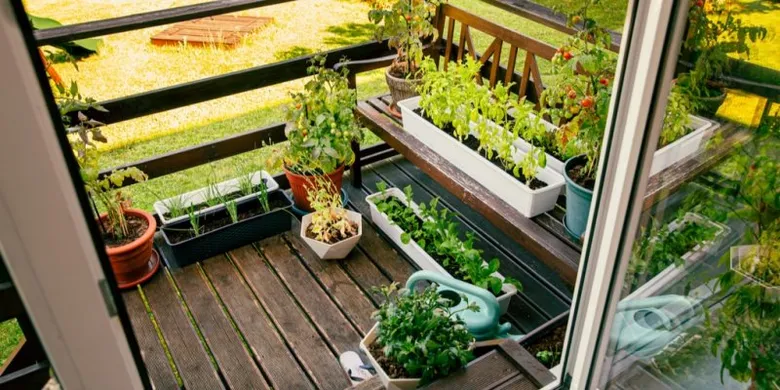 Zahradní balkon s okurkami a dalšími rostlinami